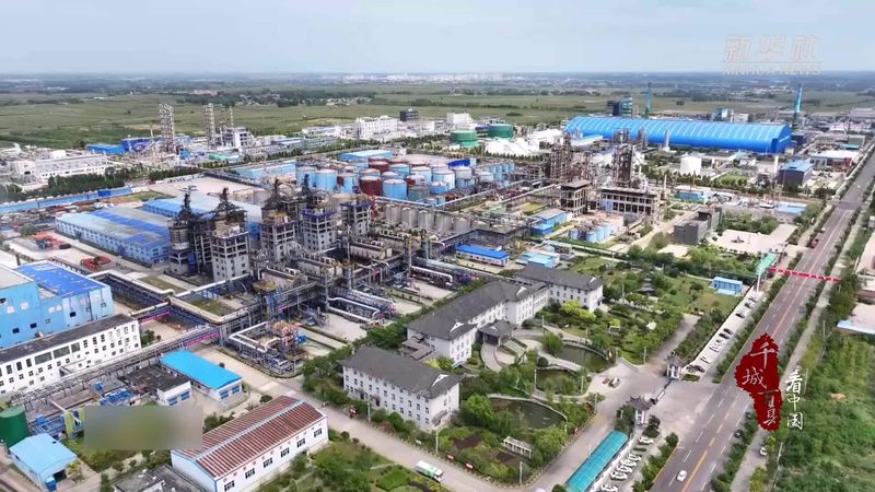 无机化工原料价格波动解析与查询技巧**